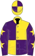 Yellow and purple (quartered), purple sleeves, yellow stars