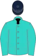 Turquoise, dark blue cap