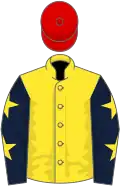 YELLOW, DARK BLUE sleeves, YELLOW stars, RED cap