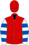 Red, white and royal blue hooped sleeves
