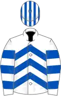 White, royal blue chevrons, hooped sleeves, striped cap