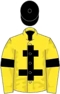 Yellow, black cross of lorraine, armlets and cap