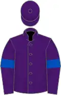 Purple, royal blue armlets
