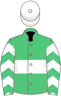 Emerald green, white hoop, chevrons on sleeves, white cap