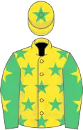 Yellow, soft green stars, soft green sleeves, yellow stars, yellow cap, soft green star