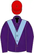 Purple, light blue chevron, red cap