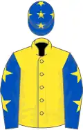 Yellow, royal blue sleeves, yellow stars, royal blue cap, yellow stars