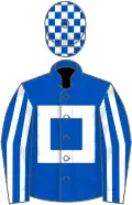 Royal blue, white hollow box, striped sleeves, check cap