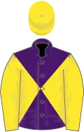 Purple and yellow diabolo, yellow sleeves and cap