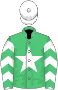 Emerald green, white star, white chevrons on sleeves, white cap