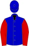 Blue, red sleeves