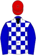 Blue and white check, blue sleeves, red cap
