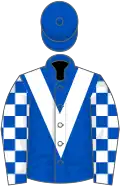 Royal blue, white chevron, checked sleeves