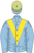 Light blue, yellow chevron, hooped cap