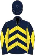 Dark blue, yellow chevrons, diabolo on sleeves, dark blue cap
