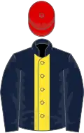 Dark blue, yellow panel, red cap