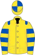 Yellow, royal blue epaulettes, hooped sleeves, quartered cap