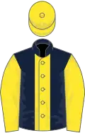 Dark blue, yellow panel, sleeves and cap