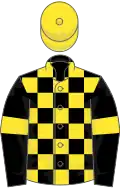 Black and Yellow check, Black sleeves, Yellow armlets and cap