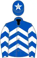 Royal blue and white chevrons, royal blue cap, white star