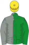 Green and grey (halved), yellow cap