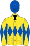 Yellow, royal blue triple diamond, diabolo on sleeves, royal blue cap