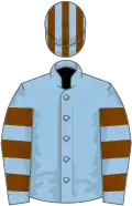 Light Blue, Chocolate hooped sleeves, striped cap