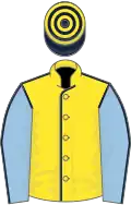 Yellow, Dark Blue seams, Light Blue sleeves, Dark Blue seams, Dark Blue and Yellow hooped cap