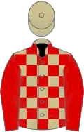 Beige and red check, red sleeves, beige cap