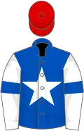 Royal blue, white star, white sleeves, royal blue armlets, red cap