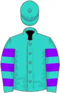 Turquoise, violet hooped sleeves