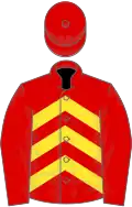 RED and YELLOW CHEVRONS, red sleeves and cap