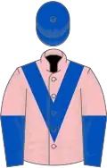 Pink, royal blue chevron, halved sleeves, royal blue cap