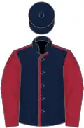 Dark blue, maroon seams and sleeves
