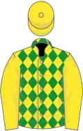 Yellow and green diamonds, yellow sleeves and cap