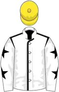 WHITE, BLACK seams, WHITE sleeves, BLACK stars, YELLOW cap