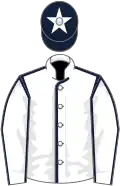 White, dark blue seams, dark blue cap, white star