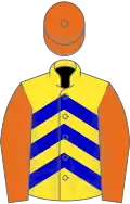 Yellow, blue chevrons, orange sleeves and cap