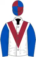 White, maroon chevron, royal blue sleeves, maroon and royal blue quartered cap