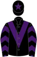 Black, purple chevron, chevrons on sleeves, star on cap