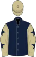 Dark blue, beige sleeves, dark blue stars, beige cap