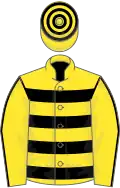 Yellow, black hoops, yellow sleeves, black seams