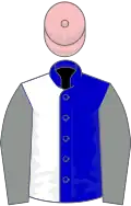 Blue and white (halved), grey sleeves, pink cap