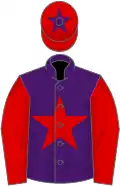 Purple, red star and sleeves, red cap, purple star