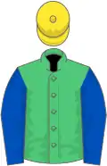 Emerald green, royal blue sleeves, yellow cap