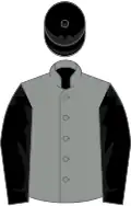 Grey, black sleeves and cap