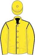 Yellow, dark blue seams, yellow cap