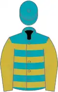Peacock blue, old gold hoops and sleeves