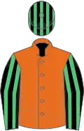 Orange, black and emerald green striped sleeves and cap