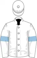 White, light blue armlets